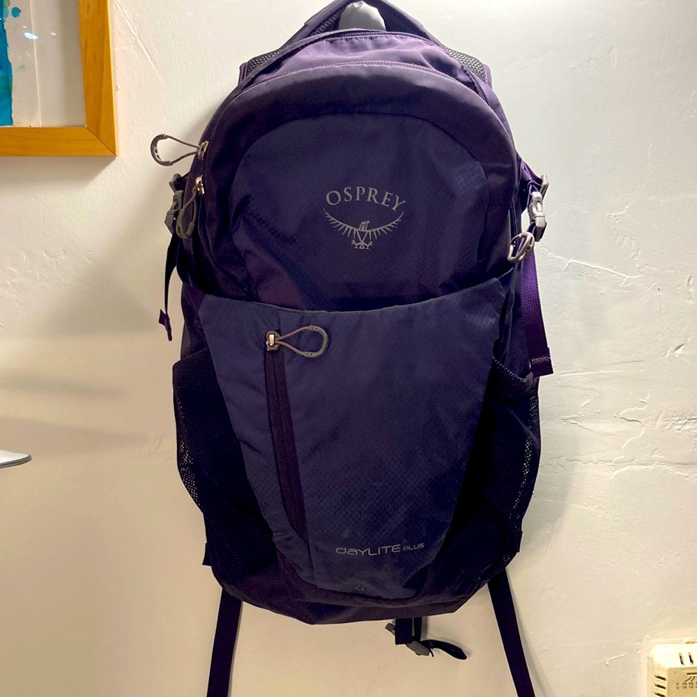Osprey laptop backpack